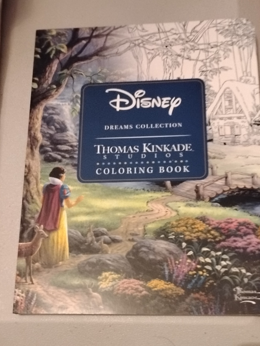 Disney Dreams Collection Coloring Book Thomas Kinkade Studio Art 2007 (c)